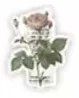 Dark Academia No. 27 sticker