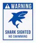 Shark Sighted sticker